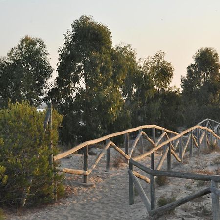 Residencial El Pinet Beach La Mariña Eksteriør billede