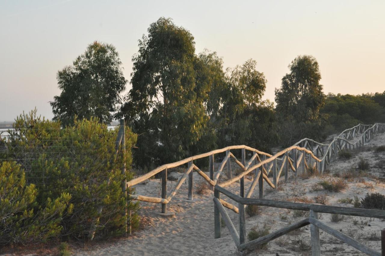 Residencial El Pinet Beach La Mariña Eksteriør billede