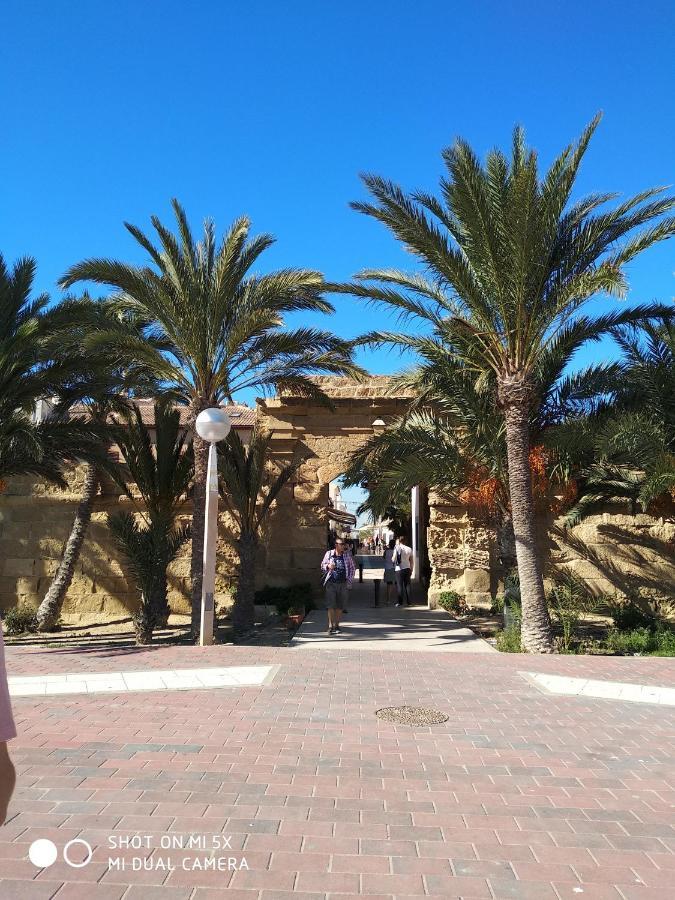 Residencial El Pinet Beach La Mariña Eksteriør billede